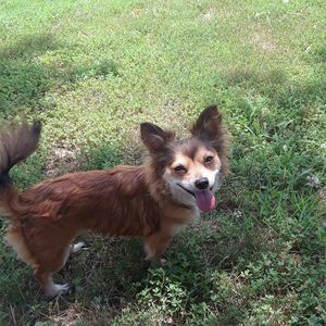 Meet your Posher, Troy